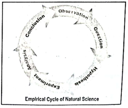 Diagram of the Empirical Cycle of Natural Science
